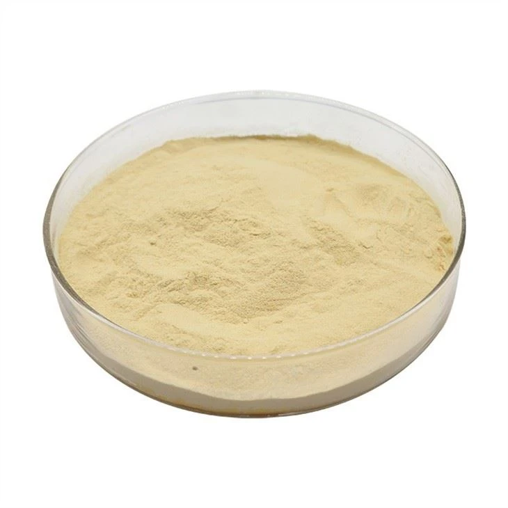 Luo Han Guo Extract Monk Fruit Sweetener Beverage Sugar Powder