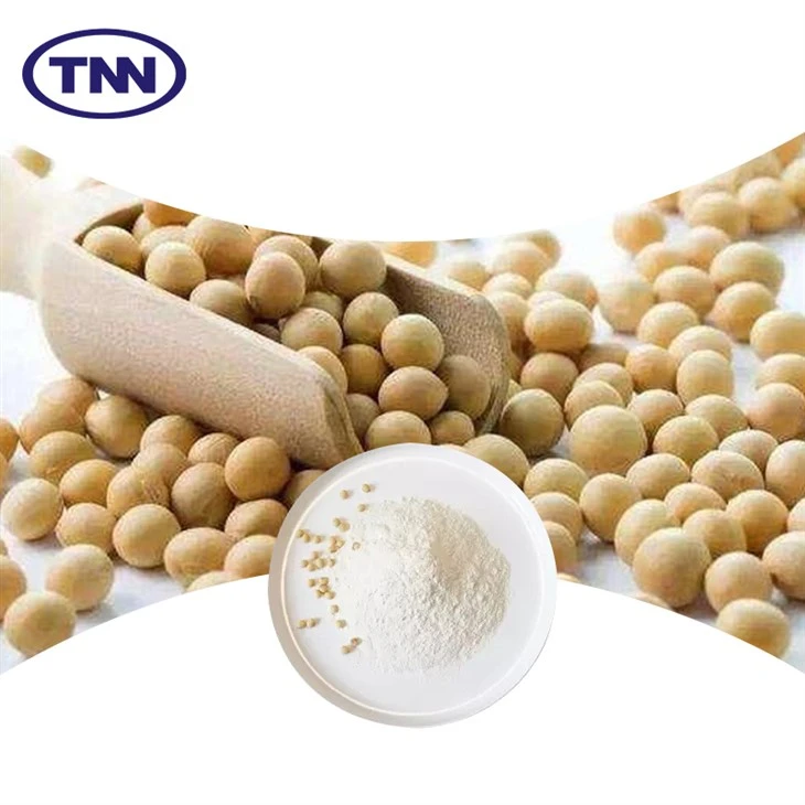 CONCENTRATE SOY PROTEIN factory